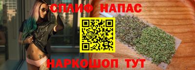 сатива Можга