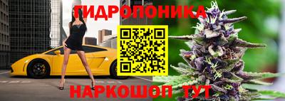 сатива Можга