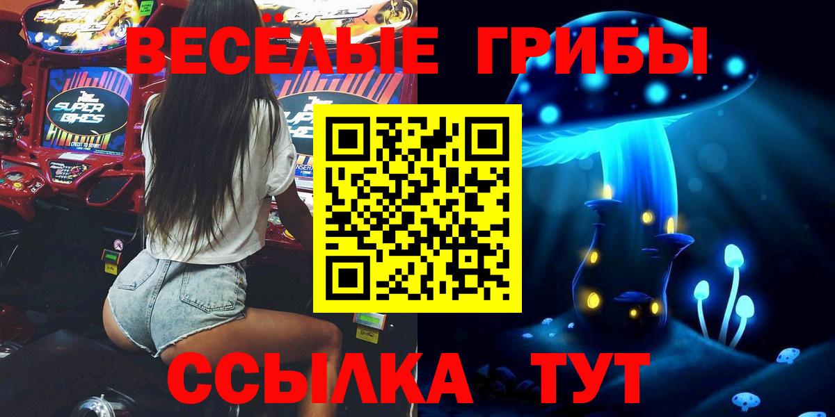 сколько стоит  Псилоцибиновые грибы прущие грибы  Вход с VPN  Спасск-Дальний  Галлюциногенные грибы Psilocybe 